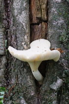 DSC00187.JPG