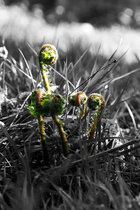 _MG_9663small.jpg