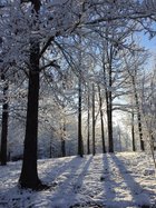 A14FB567-2986-4F4C-9250-06146E6EE57E.jpeg