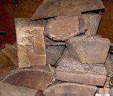 Catalpa wood blanks.jpg