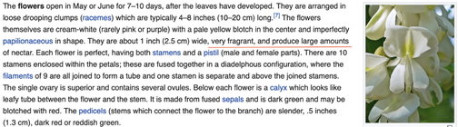 Black Locust.jpg