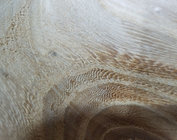 CloseUp.jpg