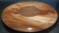 22 inch Siberian Elm.jpg