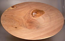 Siberian Elm.jpg