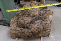 _KM09871small.jpg