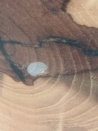 PXL_20210606_202353329.jpg