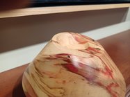 20210608_091157.jpg