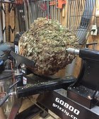 chestnut oak burl.JPG
