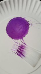 Purp.jpg