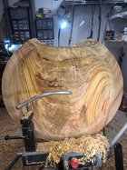 Camphor Pod 2.jpg