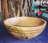 BlackLocust.jpeg