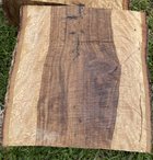 IMG_1977.jpg