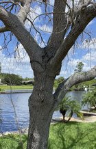 IMG_2010.jpg
