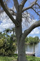 IMG_2012.jpg