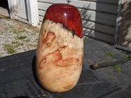 DSCN8551.JPG
