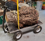 burl 2.jpg