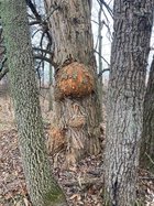 705F54FB-127B-4CCB-B9A1-34A64FCB266D.jpeg