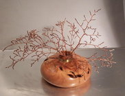 Apple graft.jpg