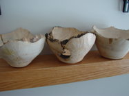DSC08433.JPG