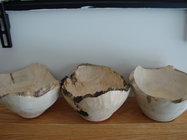 DSC08434.JPG