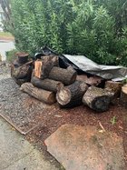 thumbnail_IMG_8200.jpg