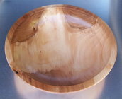 Crotch Applewood.jpg