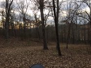 D3B5502E-E48C-4D37-9140-0B33FD27E6FD.jpeg