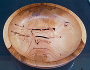 Apple tree graft.jpg
