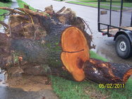 100_2925.jpg