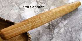 Stu_Senator.jpg Stu_Senator.jpg