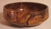 804-1 Desert Ironwood.JPG