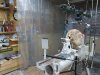 Burl_19x.jpg