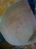 reaction wood 010.jpg