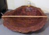 Salad Bowl 2.JPG