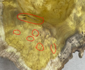 1643221256625.png