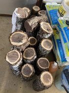 Walnut Logs.jpg
