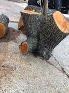 IMG_1401.jpg