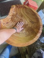 Camphor 5.jpeg