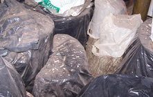 Logs in plastic bags.jpg