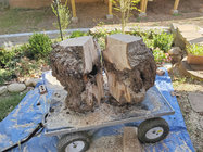 split burls.jpg split burls.jpg