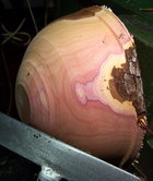 Red Applewood color.jpg
