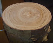 2 Sycamore log.jpg