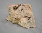debarkedburl1.JPG