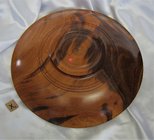 2064 goncalo alves (11).JPG
