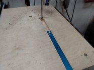 IMG_20220410_135154073.jpg