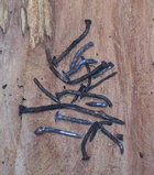 Sycamore hardware.jpg Sycamore hardware.jpg