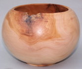 Sycamore HF.jpg Sycamore HF.jpg