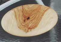 Bitternut Hickory.jpg
