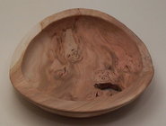 Canada plum burl.jpg