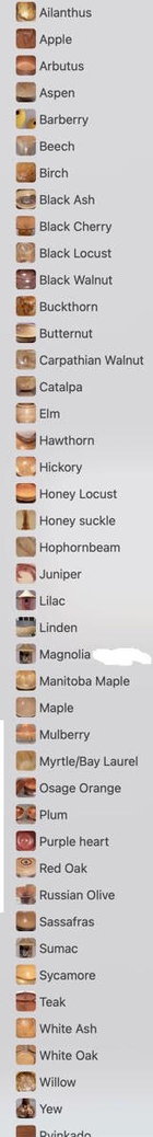 Species turned by me.jpg